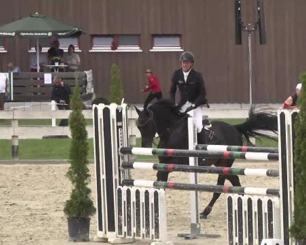 Springturnier Hubertushof RSG Linkenheim-Hochstetten 2014