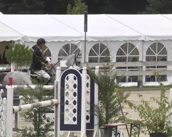 Springturnier Hubertushof RSG Linkenheim-Hochstetten 2014
