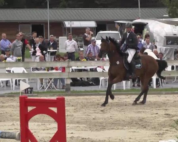 Springturnier Hubertushof RSG Linkenheim-Hochstetten 2014