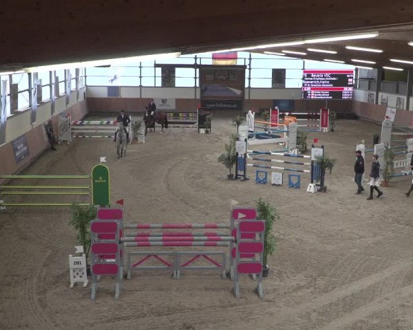 Reitturnier Grevenbroich - Gut Neuhaus 2021