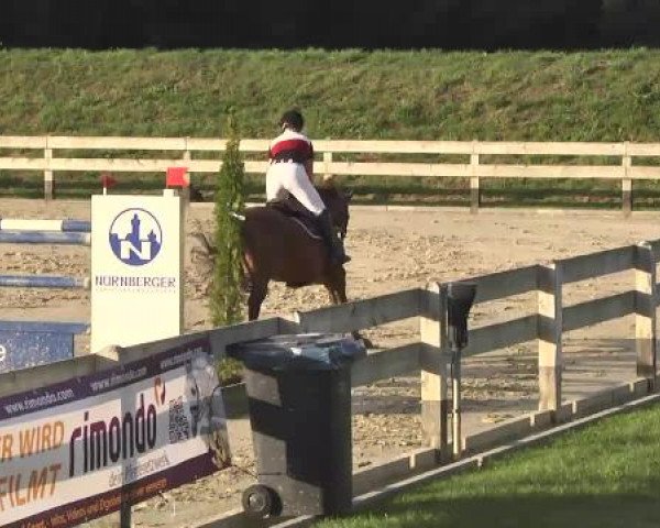 Springturnier Hubertushof RSG Linkenheim-Hochstetten 2014