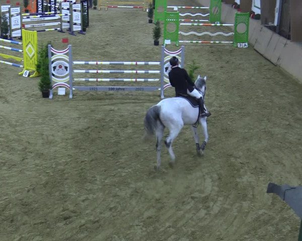 Reitturnier Bad Salzuflen 2021