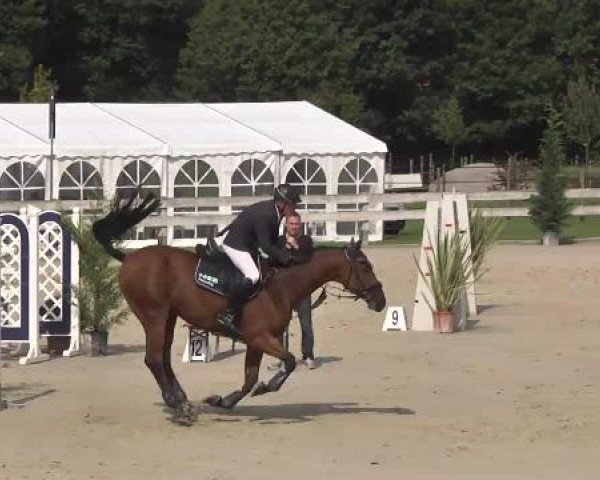 Springturnier Hubertushof RSG Linkenheim-Hochstetten 2014