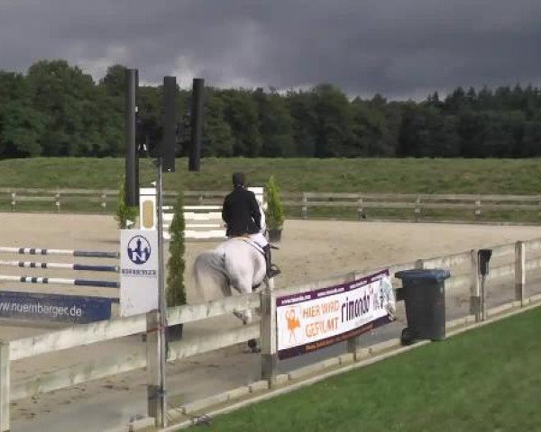 Springturnier Hubertushof RSG Linkenheim-Hochstetten 2014