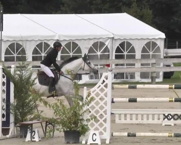 Springturnier Hubertushof RSG Linkenheim-Hochstetten 2014