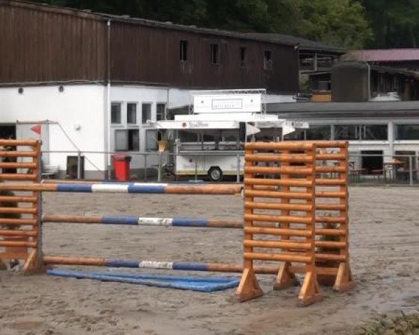 Großes Springturnier Siegen 2014