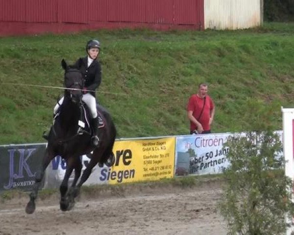 Großes Springturnier Siegen 2014