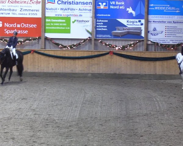 Reitturnier Leck 2021