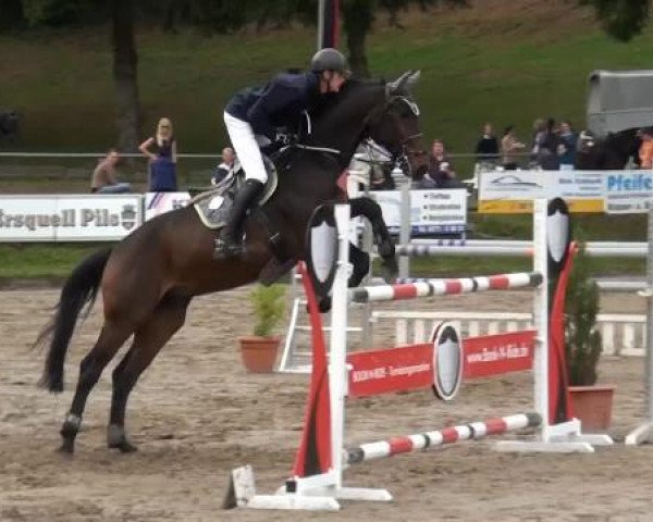 Großes Springturnier Siegen 2014