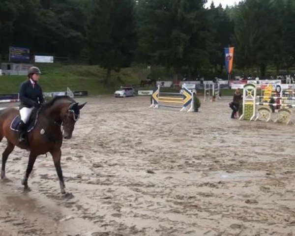 Großes Springturnier Siegen 2014