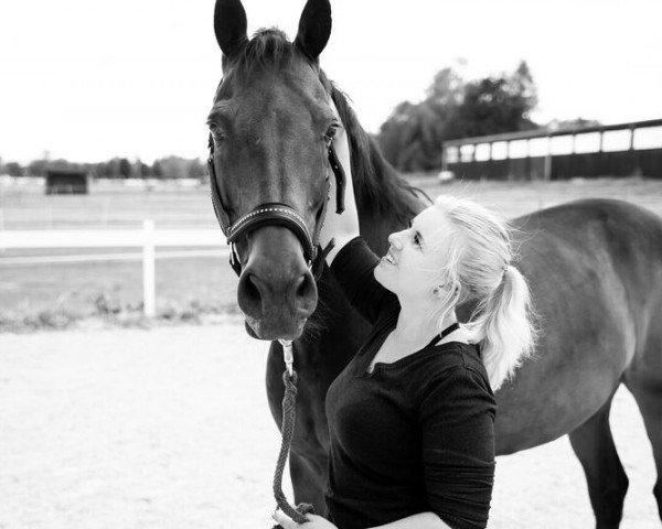 dressage horse Greens' Caballero G (unknown, 2003, from Concetto I)