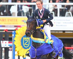 jumper Barnike (KWPN (Royal Dutch Sporthorse), 2007, from Baldwin B)