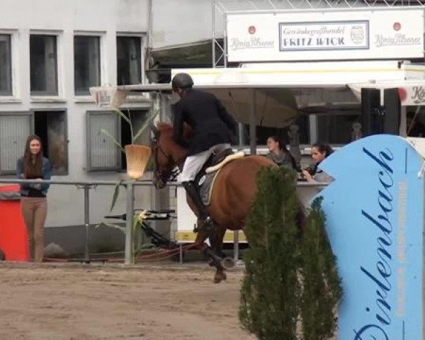 Großes Springturnier Siegen 2014