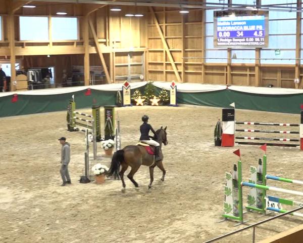 Reitturnier Dielsdorf 2025