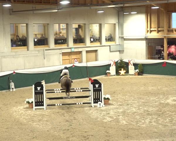 Reitturnier Dielsdorf 2025