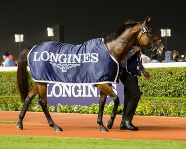 stallion Benbatl xx (Thoroughbred, 2014, from Dubawi xx)