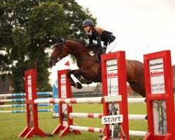 jumper Esperance S 4 (Zangersheide riding horse, 2016, from Epris d'Azur)