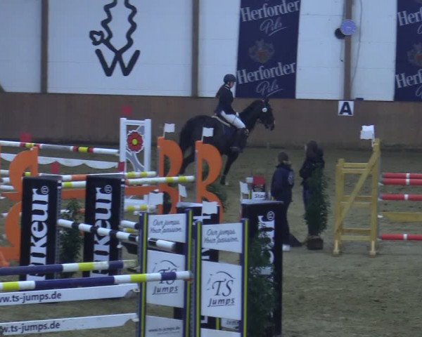 Reitturnier Bad Salzuflen 2021