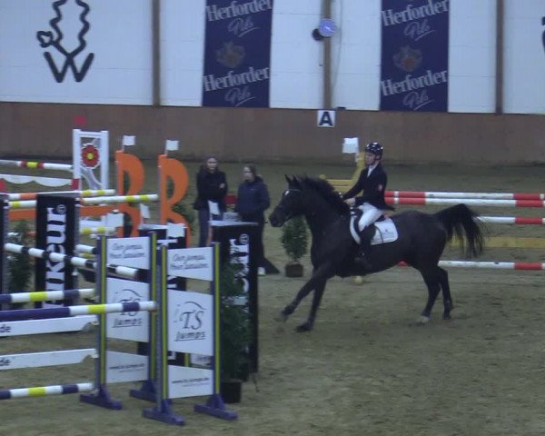 Reitturnier Bad Salzuflen 2021