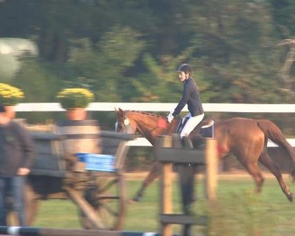 Bösel 2014
