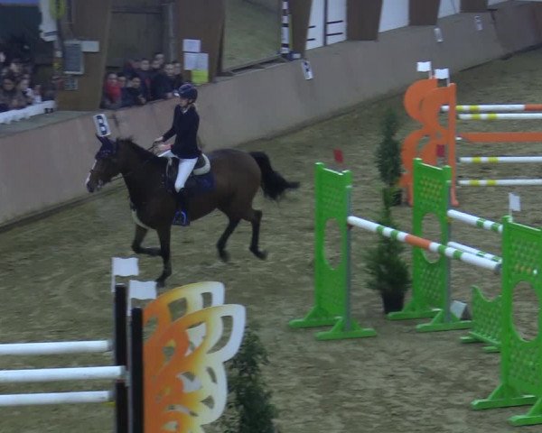 Reitturnier Bad Salzuflen 2021