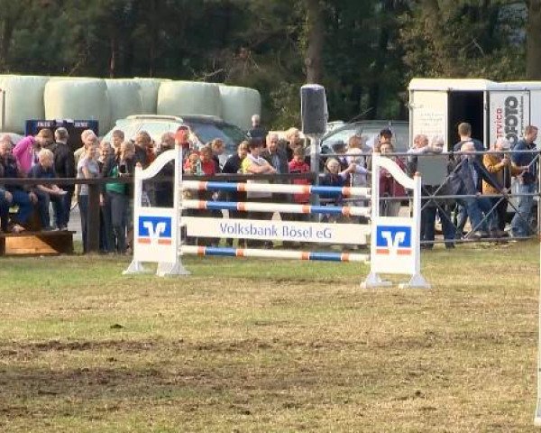 Bösel 2014