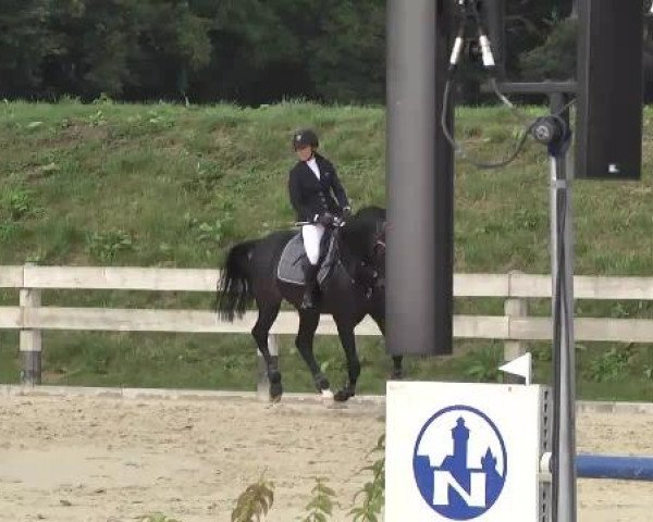 Springturnier Hubertushof RSG Linkenheim-Hochstetten 2014