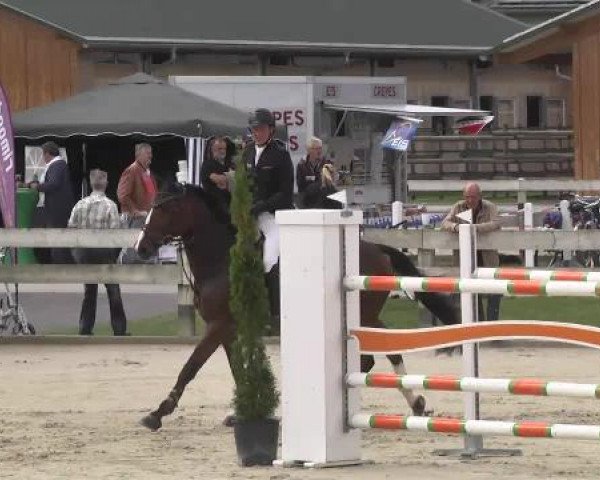 Springturnier Hubertushof RSG Linkenheim-Hochstetten 2014