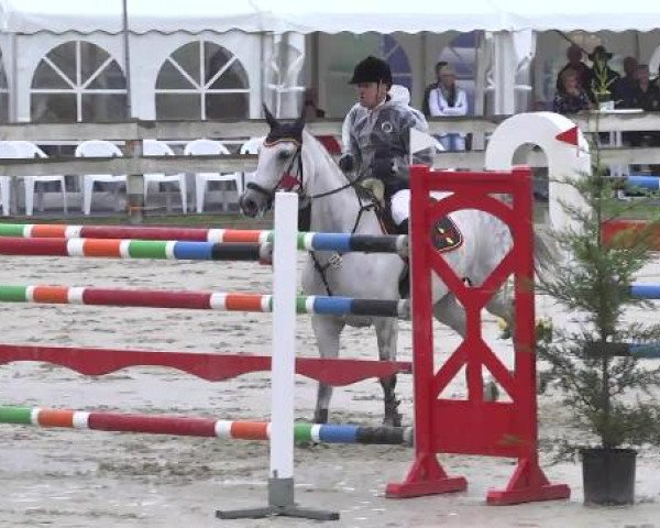 Springturnier Hubertushof RSG Linkenheim-Hochstetten 2014