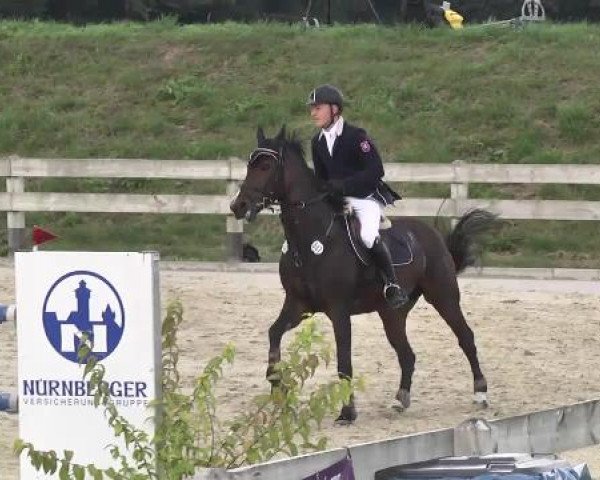 Springturnier Hubertushof RSG Linkenheim-Hochstetten 2014