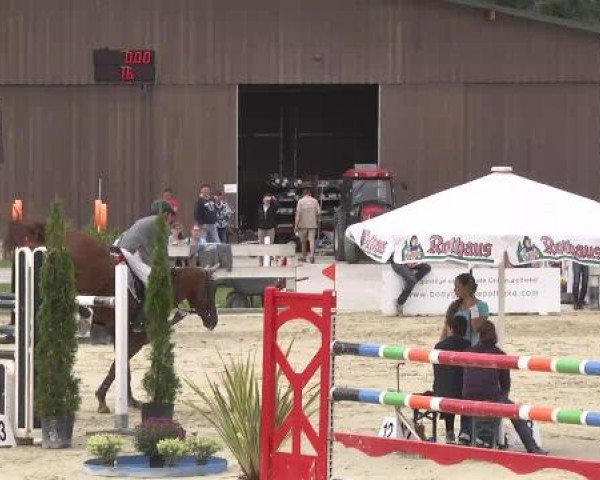Springturnier Hubertushof RSG Linkenheim-Hochstetten 2014