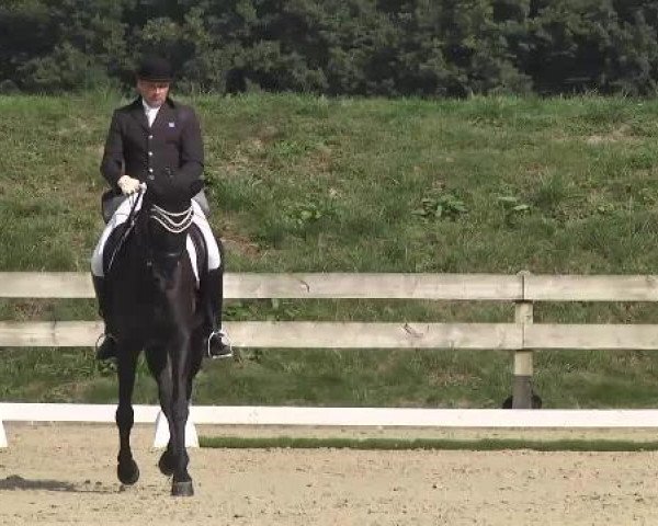 Dressurturnier Hubertushof RSG Linkenheim-Hochstetten 2014