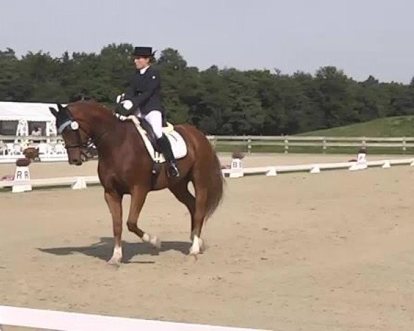 Dressurturnier Hubertushof RSG Linkenheim-Hochstetten 2014