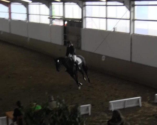 Reitstall Brinkmann 2014