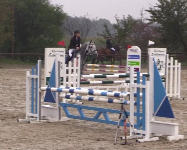 Reitstall Brinkmann 2014