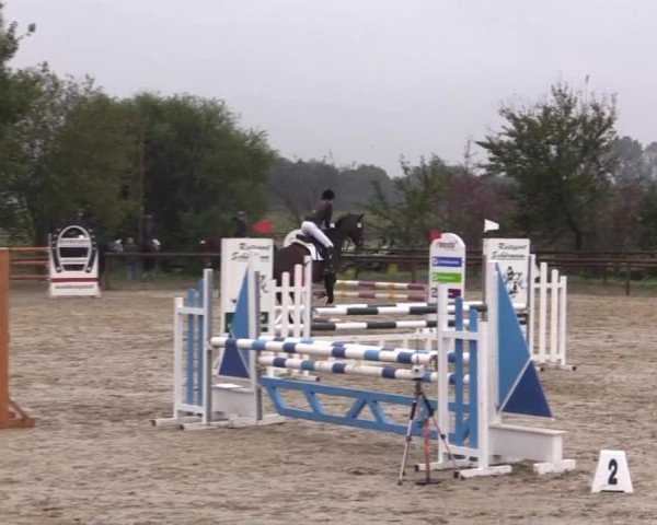 Reitstall Brinkmann 2014