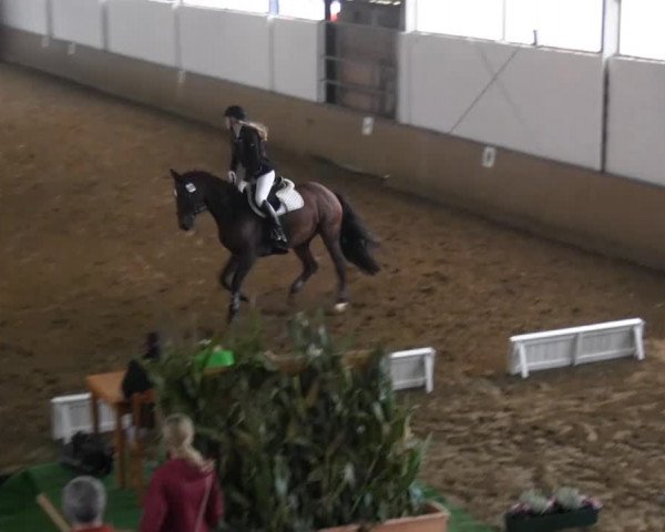 Reitstall Brinkmann 2014