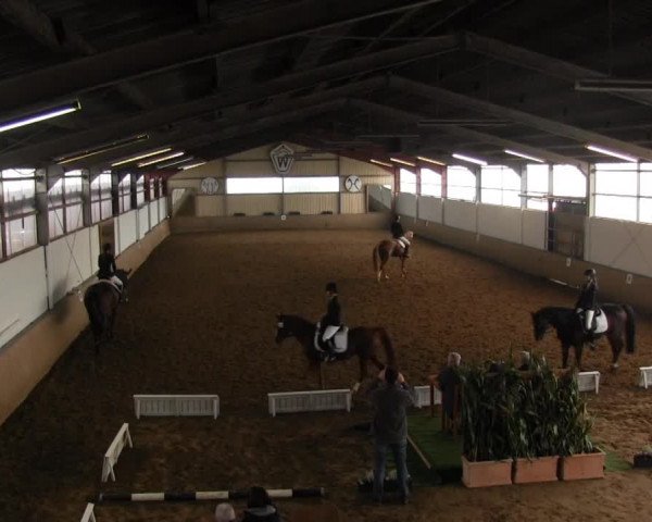 Reitstall Brinkmann 2014
