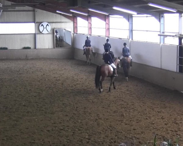 Reitstall Brinkmann 2014