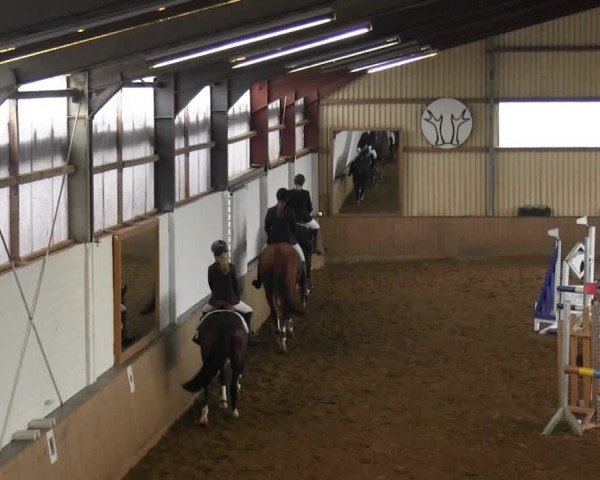 Reitstall Brinkmann 2014