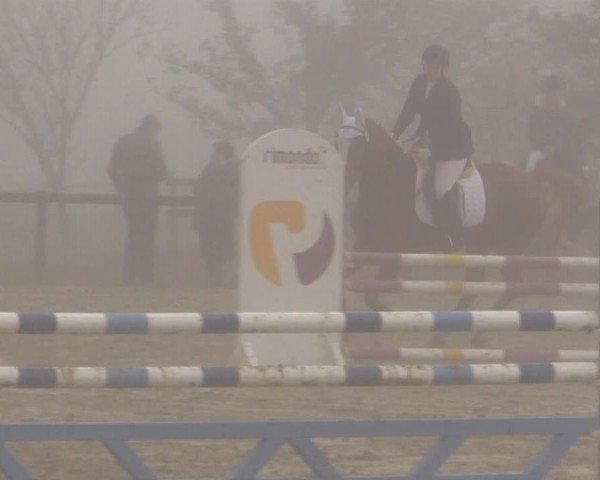 Reitstall Brinkmann 2014