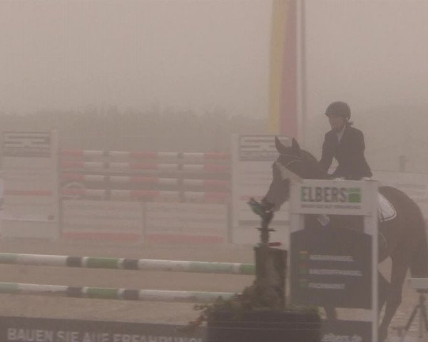 Reitstall Brinkmann 2014