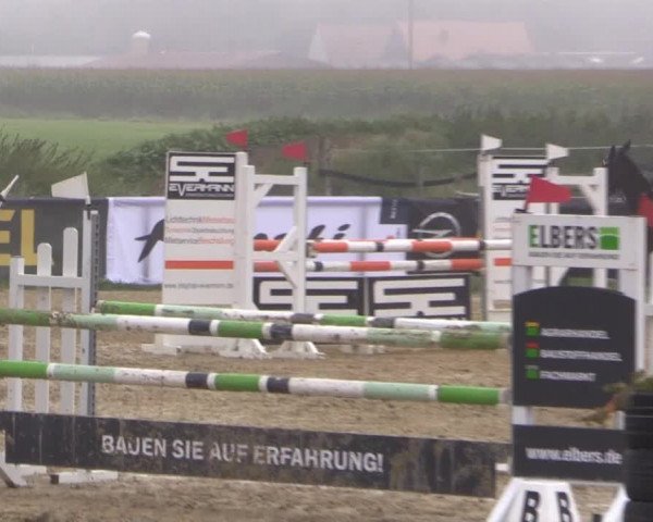 Reitstall Brinkmann 2014