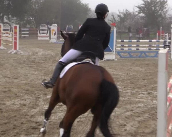 Reitstall Brinkmann 2014
