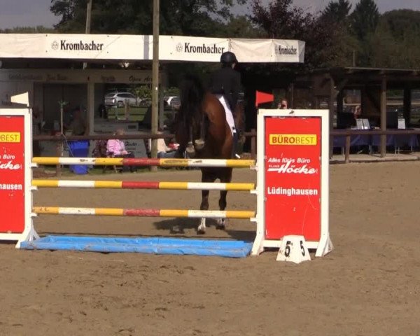 Reitstall Brinkmann 2014