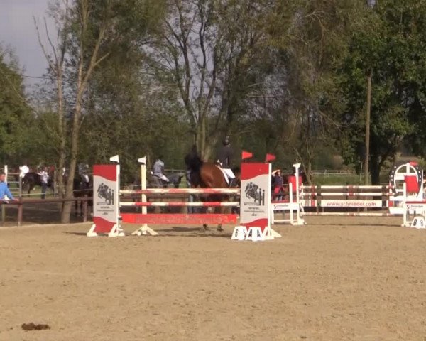 Reitstall Brinkmann 2014