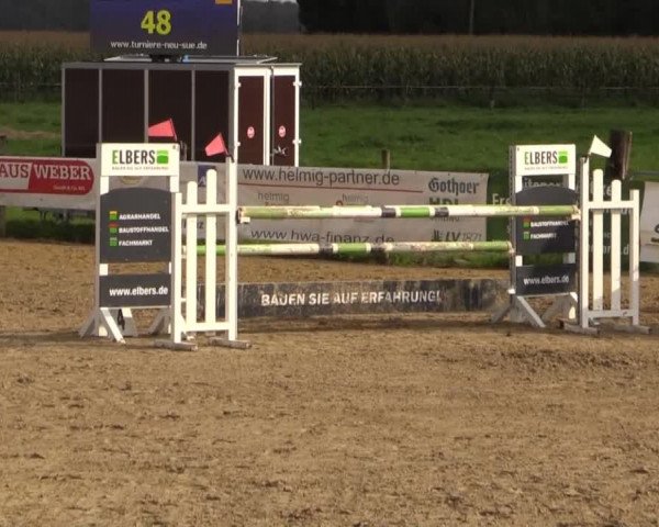 Reitstall Brinkmann 2014