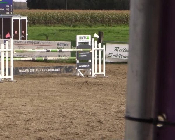 Reitstall Brinkmann 2014