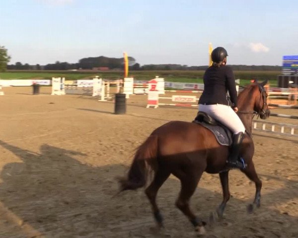 Reitstall Brinkmann 2014
