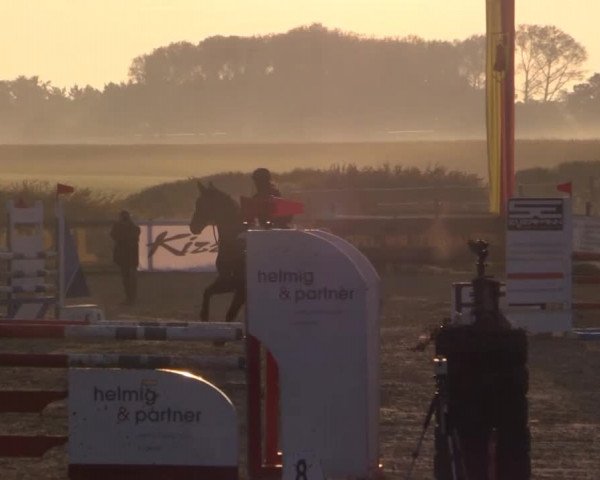 Reitstall Brinkmann 2014